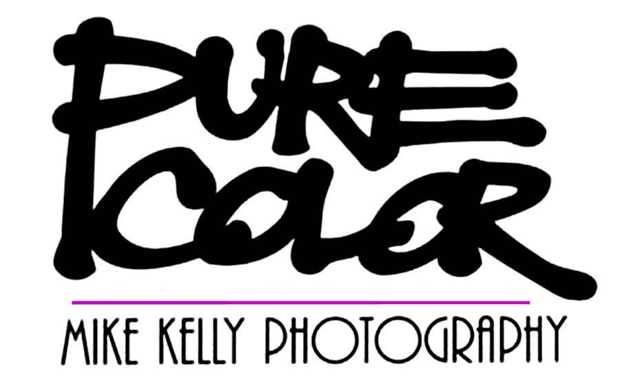 A black and white logo for pure color photography.