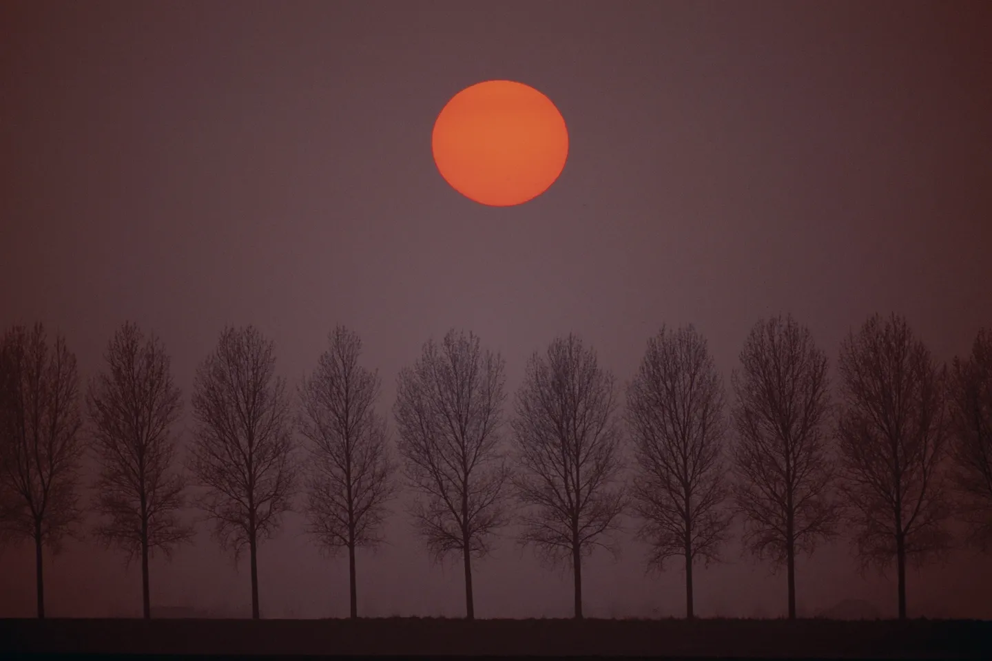 A red sun setting over some trees