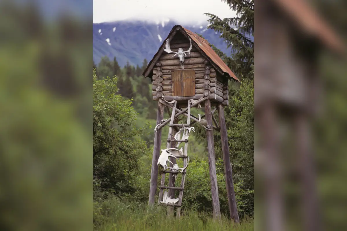 Log cabin on stilts with antler ladder.