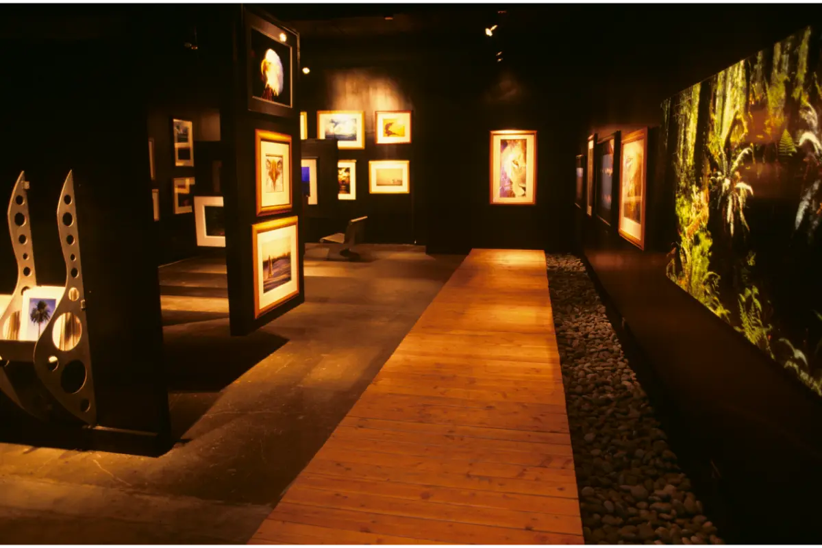 Art gallery with framed paintings and photographs.