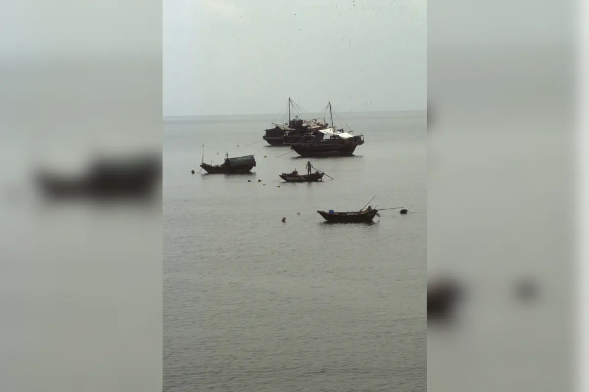 Boats floating peacefully on calm sea.